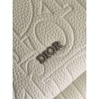 Dior Rider 2.0 Zaino con cerniera Beige Gravity