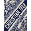 Dior Small Book Tote Bag con tracolla Toile de Jouy Sauvage Embroidery con pelle di vitello blu