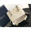 Borse Replica Alta Qualità a tracolla Dior Hit the Road Flap beige Gravity