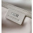 Dior Rider 2.0 Zipped Messenger Borse Imitazioni Beige Gravity