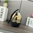 Loewe x Paula's Ibiza Raffia Beehive Degrade Basket Borsa