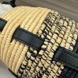 Loewe x Paula's Ibiza Raffia Beehive Degrade Basket Borsa