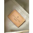 LV Speedy Bandouliere 20 Borsa in tessuto monogramma M24709