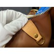 LV Speedy P9 Bandouliere 25 Borse Firmate Replica Monogramma M24424