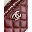 Imitazioni borse griffate a tracolla Chanel 25C Vanity con catena AP4404 Borgogna