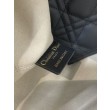 Borsa Tote Dior Toujours piccola/media/grande in pelle di vitello macrocannage beige cipria