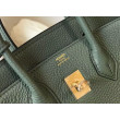 Borse Hermes Birkin 25cm/30cm Verde mandorla Clemence hardware dorato