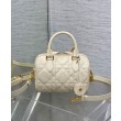 Borsa Dior Groove 20 Albicocca