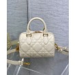 Borsa Dior Groove 20 Albicocca