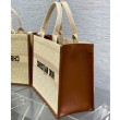 Dior Dior Book Tote Media Albicocca