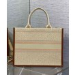 Dior Dior Book Tote Media Albicocca