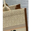 Dior Dior Book Tote Media Albicocca