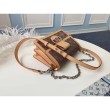 Dauphine MM Monogram Pop Print M55452