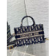 Dior Book Tote Piccola
