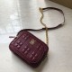 Cloni Firmate Burberry Borsa per fotocamera trapuntata piccola Claret imitazioni