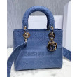 Borse Replica Christian Dior Medium Lady D-Lite Borse Replica Christian Dior Medium Lady D-Lite