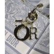 Borsa Christian Dior Medium Lady D-Lite grigia