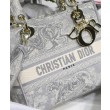 Borsa Christian Dior Medium Lady D-Lite grigia