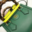 Diana Mini Tote Bag ‎655661 Verde