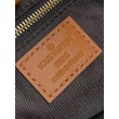 Hobo Dauphine PM Monogram Reverse M45194