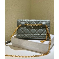 Christian Dior Caro Marsupio Con Borsa A Catena Grigio