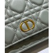 Christian Dior Caro Marsupio Con Borsa A Catena Grigio