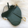 Borse Imitazioni da Saddle Christian Dior M0446 Verde Borse Imitazioni da Saddle Christian Dior M0446 Verde