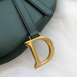 Borse Imitazioni da Saddle Christian Dior M0446 Verde Borse Imitazioni da Saddle Christian Dior M0446 Verde