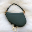 Borse Imitazioni da Saddle Christian Dior M0446 Verde Borse Imitazioni da Saddle Christian Dior M0446 Verde
