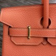 Borse Hermes Birkin 30cm 35CM in pelle Crevette Clemence