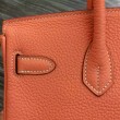 Borse Hermes Birkin 30cm 35CM in pelle Crevette Clemence
