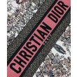 Christian Dior Borse Replica tote media Dior Book Borse Replica rosa a tema Butterfly Around The World. Ricamo grafico