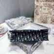 Dior Mini Book Tote Borsa Dior Oblique Canvas Blu