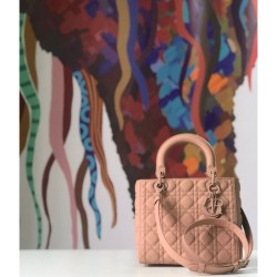 Borsa Christian Dior Lady Dior Ultra-Matte Borse Albicocca imitazioni perfette