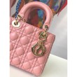 Christian Dior Piccola My ABCDior Tote Borse M0538 Grigio