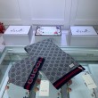 Alta gamma replica Classic Cashmere Jacquard Sciarpa e Cappello Grigio